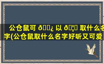 公仓鼠可 🌿 以 🦁 取什么名字(公仓鼠取什么名字好听又可爱 霸气)